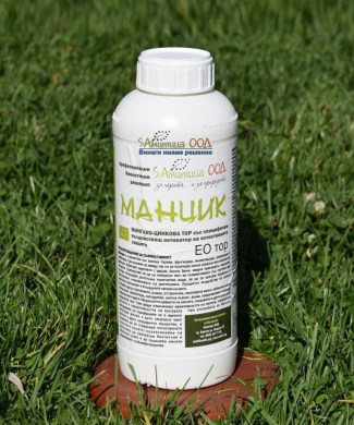 mancik (1)